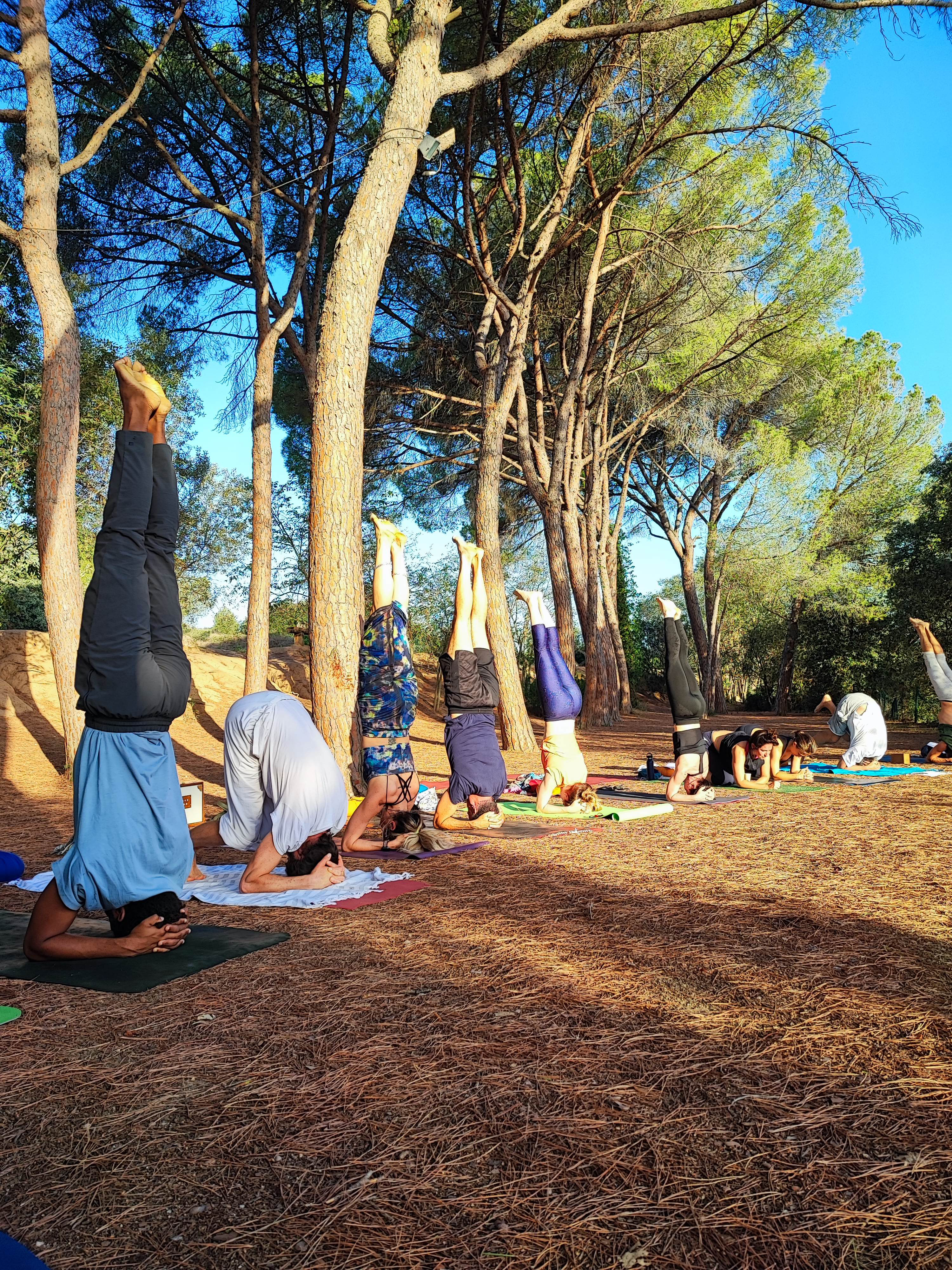 Retiro invertidas bosque
